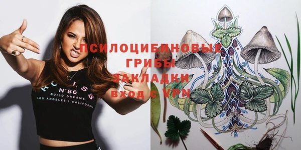 ПСИЛОЦИБИНОВЫЕ ГРИБЫ Алексин
