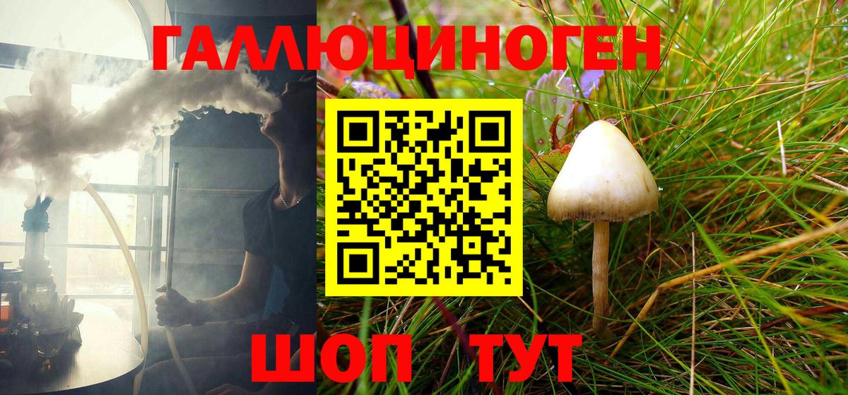 Псилоцибиновые грибы мицелий Добрянка