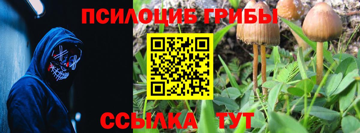 Добрянка  что такое   Вход с VPN  Галлюциногенные грибы мицелий 